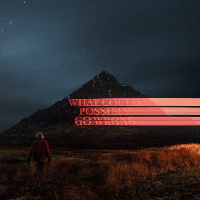 FIKE, DOMINIC | WHAT COULD POSSIBLY GO WRONG (X) (140G/POSTER) | VINYL RECORD (LP)