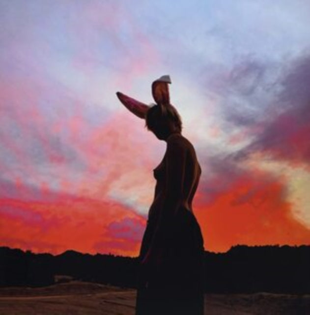 BIIG PIIG | SUN IS BLEEDING | VINYL RECORD (LP)