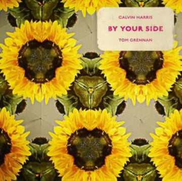 HARRIS, CALVIN & TOM GRENNAN | BY YOUR SIDE (PICTURE DSIC) | 12IN VINYL