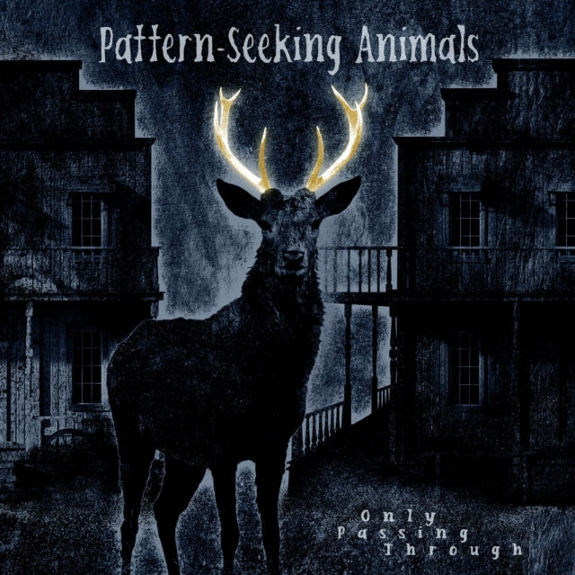 PATTERN-SEEKING ANIMALS | ONLY PASSING THROUGH (2LP/CD) | VINYL RECORD (LP)