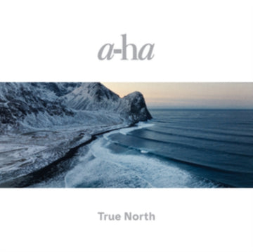 TRUE NORTH (COLOURED VINYL) | VINYL RECORD (LP)