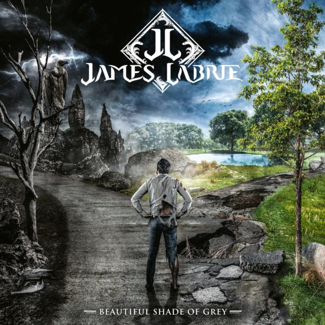 LABRIE, JAMES | BEAUTIFUL SHADE OF GREY (LP/CD) | VINYL RECORD (LP)