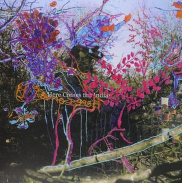 ANIMAL COLLECTIVE | HERE COMES THE INDIAN | VINYL RECORD (LP)