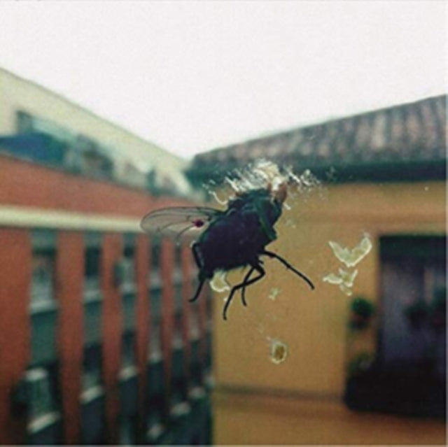 BIZNAGA | GRAN PANTALLA | VINYL RECORD (LP)