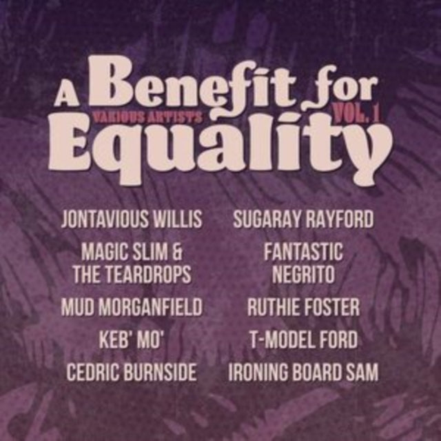 VARIOUS ARTISTS | BENEFIT FOR EQUALITY VOL. 1 (I) | VINYL RECORD (LP)