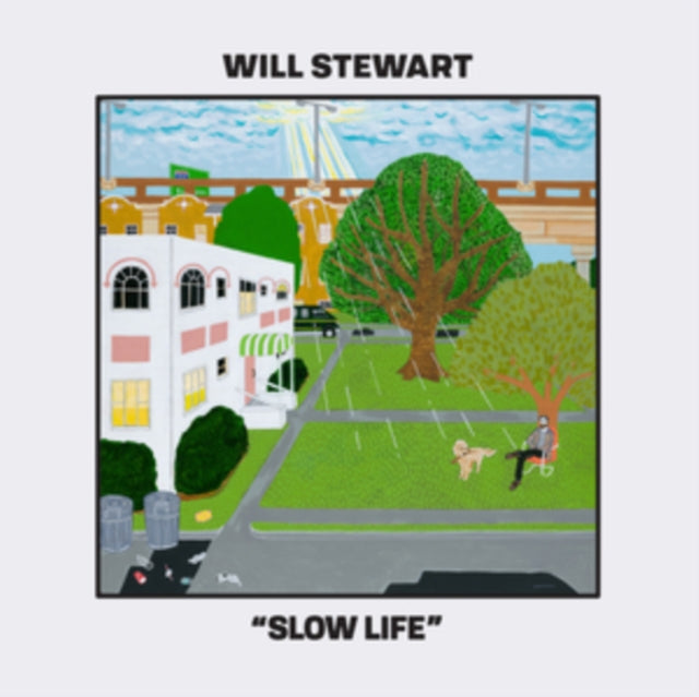 STEWART, WILL | SLOW LIFE | VINYL RECORD (LP)