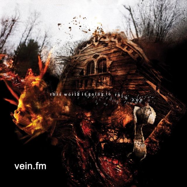 VEIN.FM | THIS WORLD IS GOING TO RUIN YOU (RED & BLACK GALAXY MIX VINYL) | VINYL RECORD (LP)