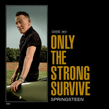SPRINGSTEEN, BRUCE | ONLY THE STRONG SURVIVE (2LP/140G/D-SIDE ETCHING) | VINYL RECORD (LP)