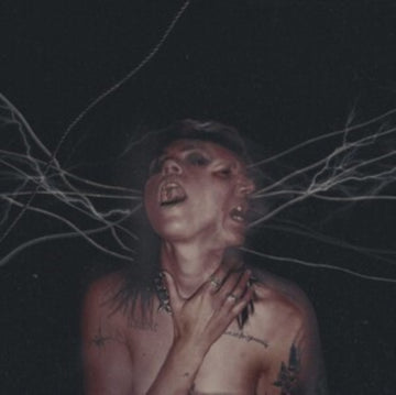 CALL TO THE VOID | VINYL RECORD (LP)
