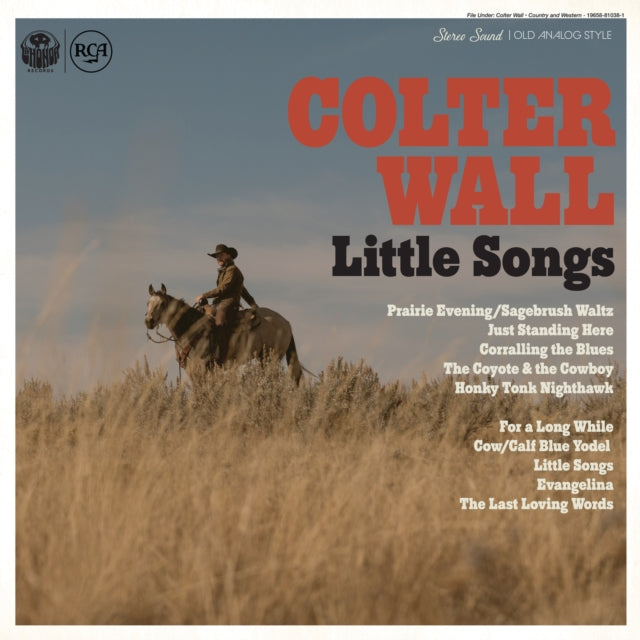 WALL, COLTER | LITTLE SONGS | VINYL RECORD (LP)