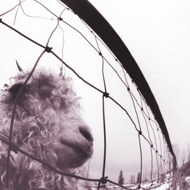 PEARL JAM | VS. (30TH ANNIVERSARY) (2LP/180G/45RPM) | VINYL RECORD (LP)