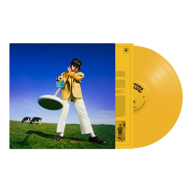 MCKENNA, DECLAN | WHAT HAPPENED TO THE BEACH? (YELLOW VINYL) | VINYL RECORD (LP)