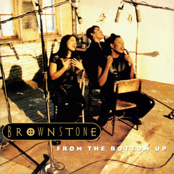 FROM THE BOTTOM UP (2LP) | VINYL RECORD (LP)