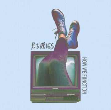 HOW WE FUNCTION | VINYL RECORD (LP)