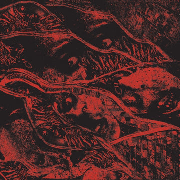 VERMIN WOMB | RETALIATION | VINYL RECORD (LP)