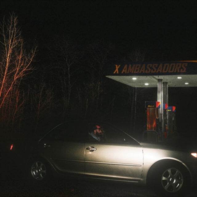 X AMBASSADORS | TOWNIE | VINYL RECORD (LP)