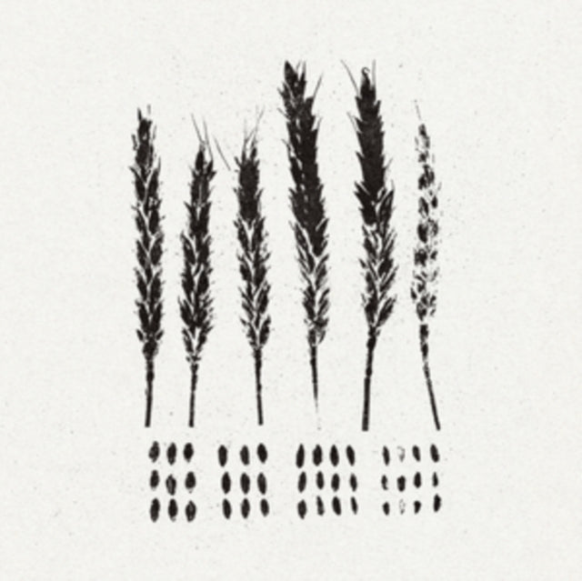 LO! | GLEANERS | VINYL RECORD (LP)
