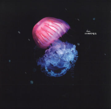 MOMENT IS FOREVER | VINYL RECORD (LP)