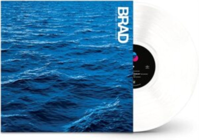 BRAD | IN THE MOMENT THAT YOU'RE BORN | VINYL RECORD (LP)