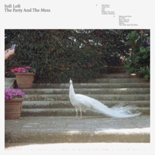 SOFT LOFT | PARTY & THE MESS | VINYL RECORD (LP)