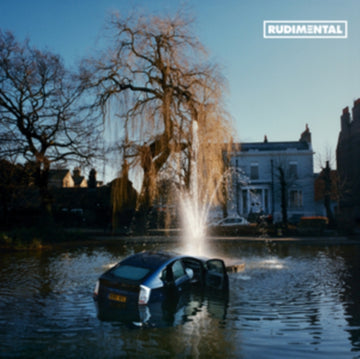 RUDIM3NTAL | VINYL RECORD (LP)