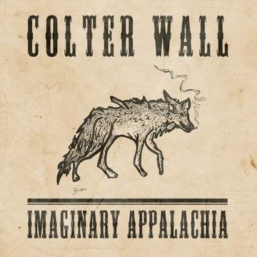 IMAGINARY APPALACHIA (10TH ANNIVERSARY EDITION/OPAQUE OLIVE GREEN VINYL/140G) | VINYL RECORD (LP)