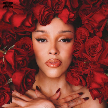 VIE (X) (2LP) | VINYL RECORD (LP)