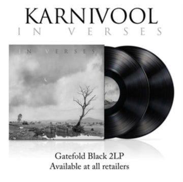 IN VERSES (2LP) | VINYL RECORD (LP)
