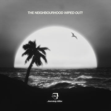 WIPED OUT! (10TH ANNIVERSARY/2LP/180G) | VINYL RECORD (LP)