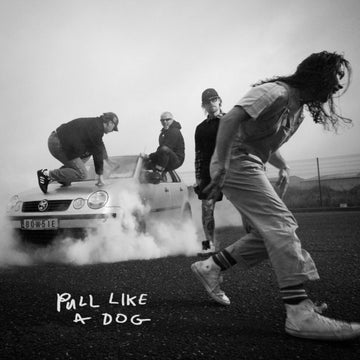 PULL LIKE A DOG (TRANSPARENT YELLOW VINYL/140G) | VINYL RECORD (LP)