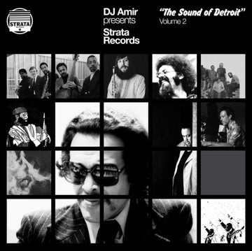 DJ AMIR PRESENTS STRATA RECORDS - THE SOUND OF DETROIT VOL. 2 | VINYL RECORD (LP)