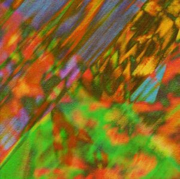 STAY HERE/WRITER | 12IN VINYL