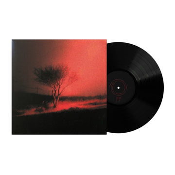 PISS IN THE WIND | VINYL RECORD (LP)