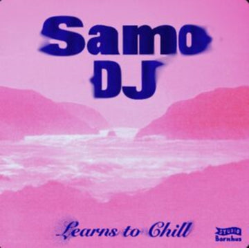 LEARNS TO CHILL | 12IN VINYL