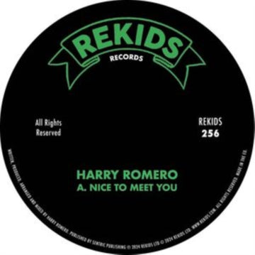NICE TO MEET YOU | VINYL RECORD (LP)