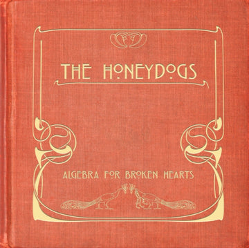 ALGEBRA FOR BROKEN HEARTS | VINYL RECORD (LP)