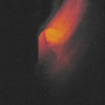 SHAPE OF ASH | 10IN VINYL