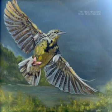 DEAR MEADOWLARK | VINYL RECORD (LP)