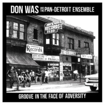 GROOVE IN THE FACE OF ADVERSITY | VINYL RECORD (LP)