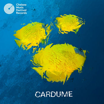 CARDUME | VINYL RECORD (LP)