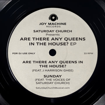 ARE THERE ANY QUEENS IN THE HOUSE? EP | VINYL RECORD (LP)