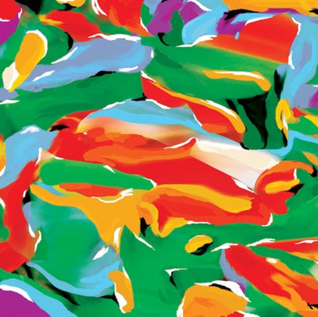 BIRDS OF PARADISE | VINYL RECORD (LP)
