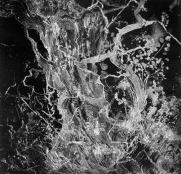 MONOLITH | VINYL RECORD (LP)