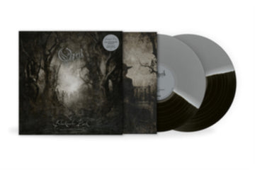 BLACKWATER PARK (25TH ANNIVERSARY EDITION) (BLACK/SILVER VINYL) | VINYL RECORD (LP)