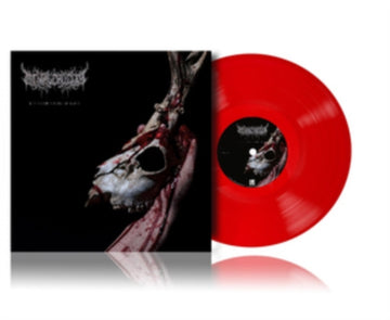 ECHOES OF A FORLORN LAND | VINYL RECORD (LP)