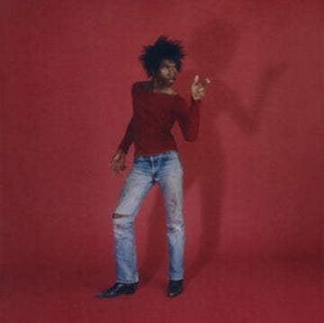 LOVE IS THE LAW | VINYL RECORD (LP)