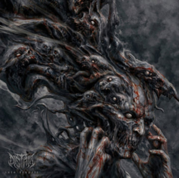 INTO DESPAIR (GREY VINYL) (LIMITED) | VINYL RECORD (LP)