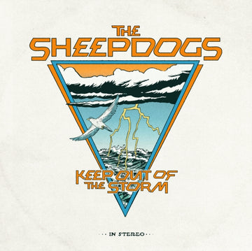 KEEP OUT OF THE STORM | VINYL RECORD (LP)