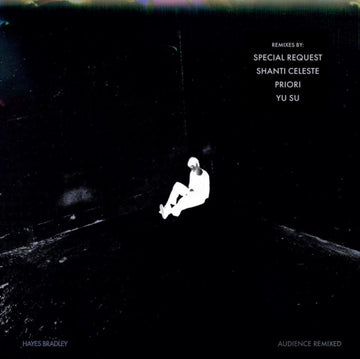AUDIENCE (REMIXED) | 12IN VINYL