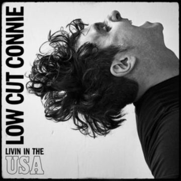 LIVIN IN THE USA | VINYL RECORD (LP)